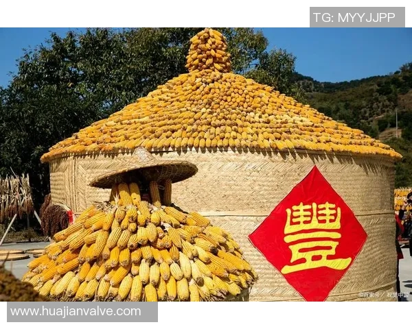 五谷丰登与可持续农业:探索五谷农作物的多功能与生态价值