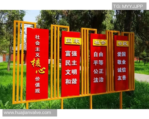 以社会发展为核心探讨现代价值观变迁对个人与群体生活的深远影响