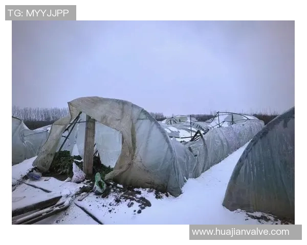 全球气候变化加剧 极端天气频发对各国经济与社会造成严峻挑战