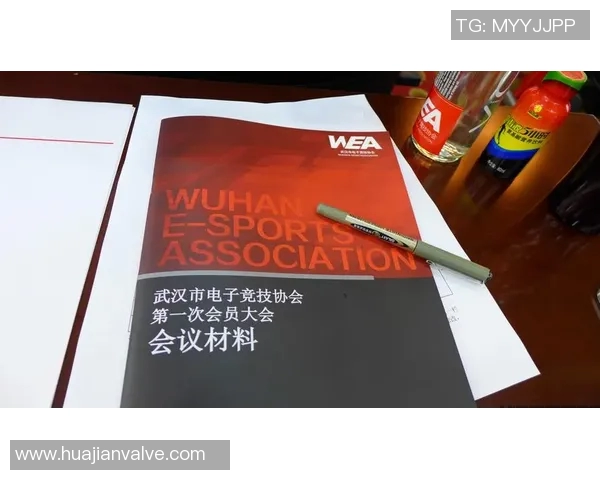 刘敏专访：从职业赛场到电竞文化的传承与发展之路