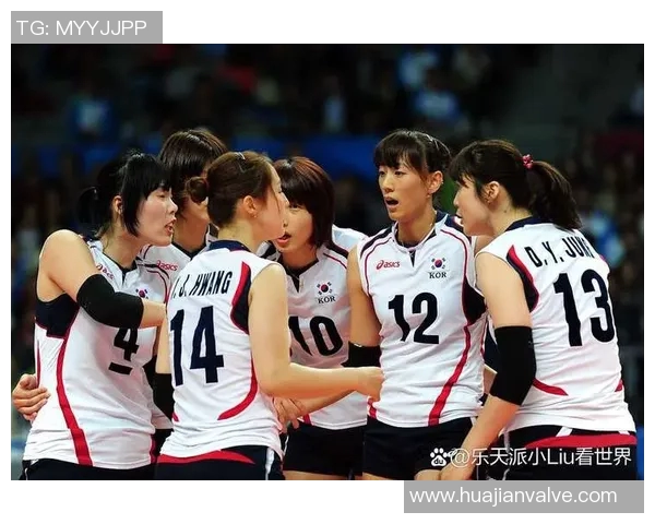 成都与南京排球队对决分析灵活性成胜负关键因素