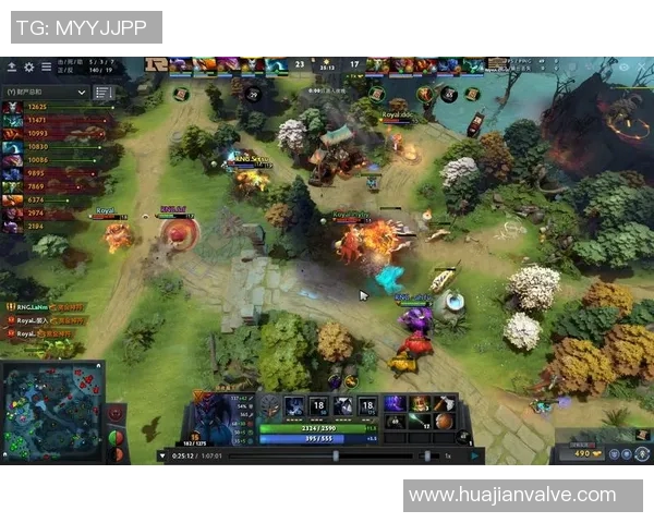 DOTA2巨献：深入解析RNG战队的游戏意识与团队协作秘诀