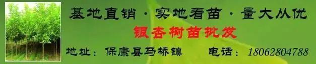 南宫28ng相信品牌力量【7月22日】保康最新一期衡宇出租、求租、让渡、出卖信息